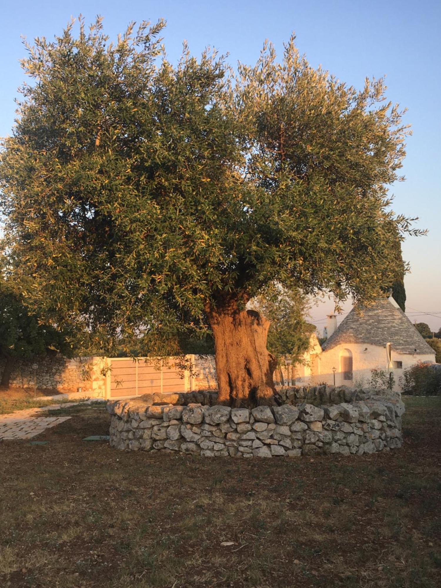 Trulli Le 2 Nicchie Villa โลโกโรตอนโด ภายนอก รูปภาพ